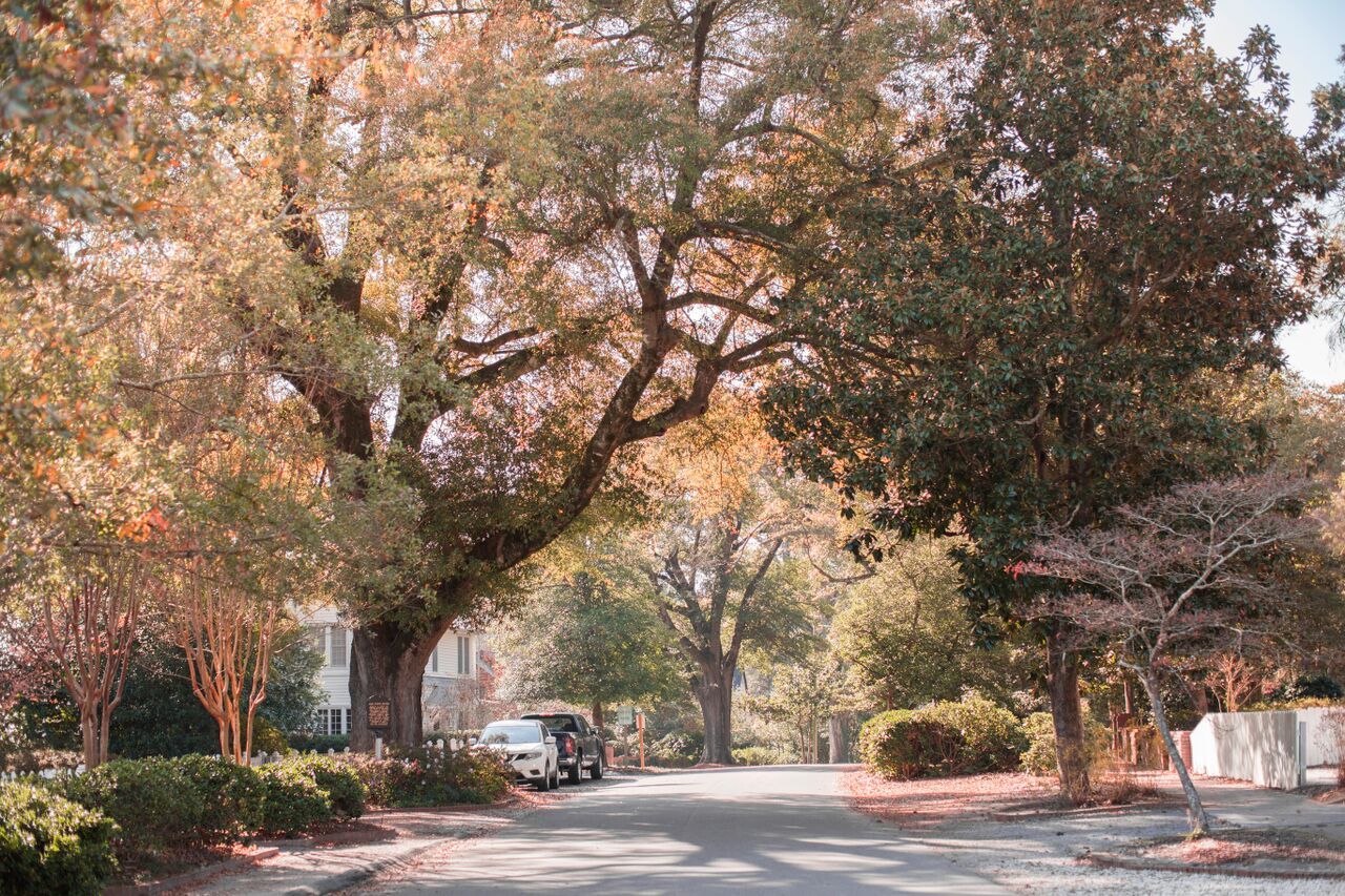 A quiet street in Pinehurst shaded by old oaks and magnolias